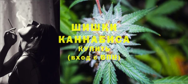 ешки Белокуриха