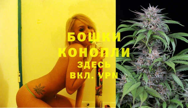 ешки Белокуриха