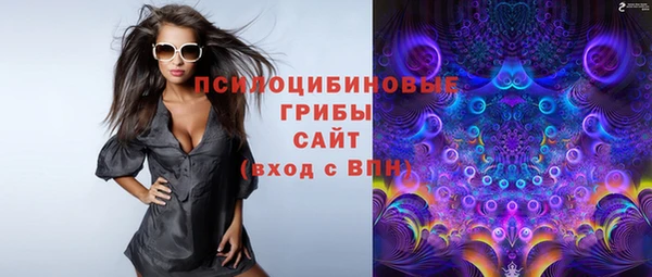 ешки Белокуриха