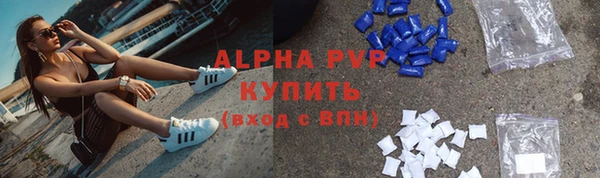 ешки Белокуриха