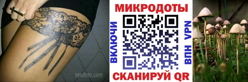 blacksprut зеркало  Буинск  Галлюциногенные грибы мухоморы 